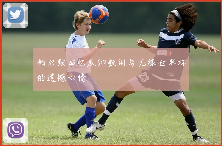 帕尔默回忆瓜帅教训与无缘世界杯的遗憾心情